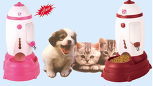 Auto pet feeder